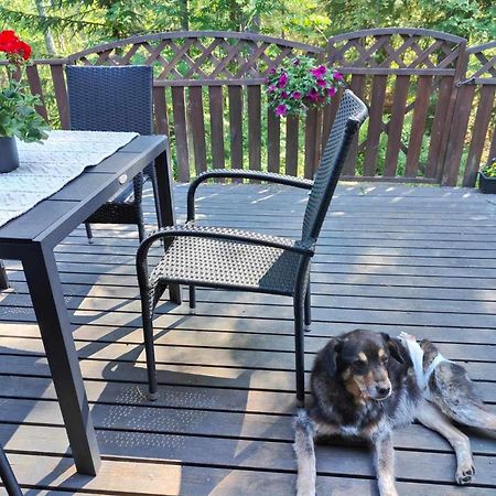 Cozy Forest Retreat In Kuopio - Perfect For Families Work Trips מראה חיצוני תמונה