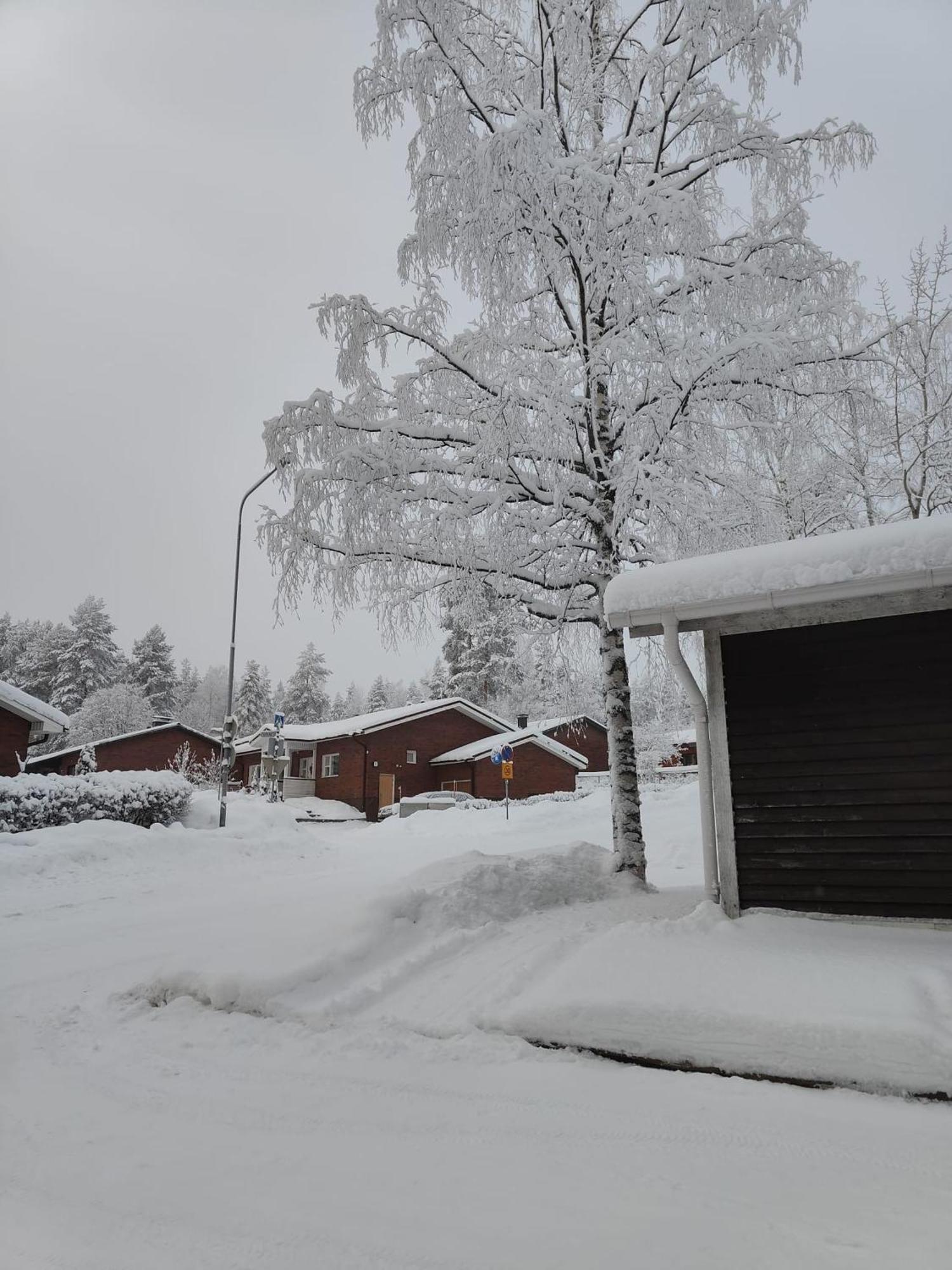 Cozy Forest Retreat In Kuopio - Perfect For Families Work Trips מראה חיצוני תמונה